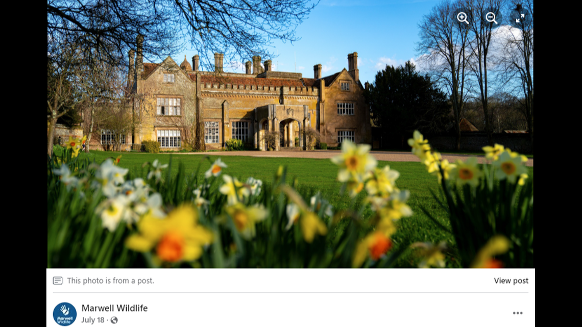 A zoo in the United Kingdom has welcomed a wave of rare babies throughout the summer and fall.