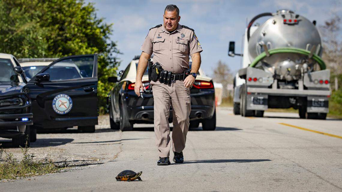 Florida Highway Patrol Trooper Veloz walks over to rescue a turtle from getting run over outside the front entrance to Alligator Alcatraz. The immigration detention facility along Tamiami Trail is located at Dade-Collier Training and Transition Airport inside Big Cypress National Preserve in Ochopee, Florida on Wednesday, November 19, 2025.