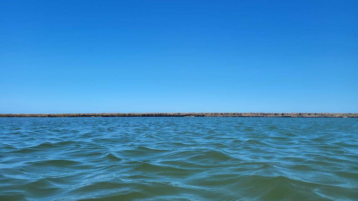 Scientists trawling the Atlantic Ocean pulled in a net and discovered a new species, the study said. Photo shows a representative coastline of Brazil.