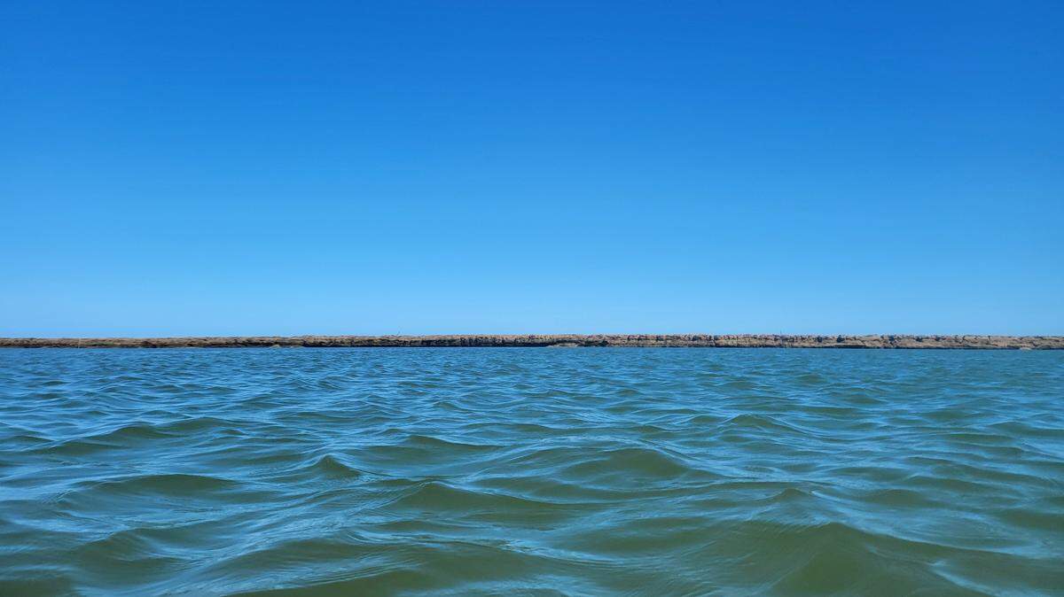 Scientists trawling the Atlantic Ocean pulled in a net and discovered a new species, the study said. Photo shows a representative coastline of Brazil.