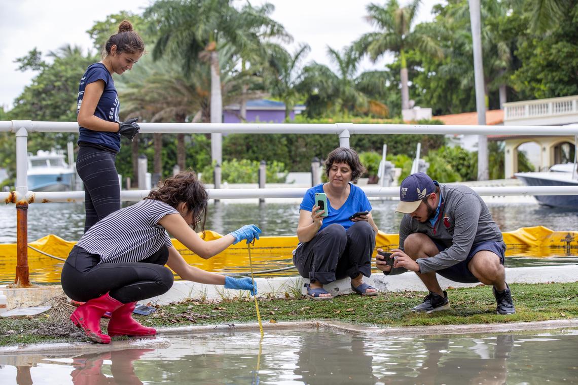 Research Development Officer at the Institute of Water and Environment at FIU Maria Fernanda Pulido-Velosa, 24, left, FIU student of Engineering and Computing Nathalie Tuya, 21, FIU Dept. of Art & Art History faculty member Fereshteh Toosi, 43, and FIU Masters student in Executive Public Administration Robin Meneses, 27 measure the water levels associated with the King Tide during citizens’ Sea Level Solution day where scientists and citizens go around measuring the high tides around the city, off West Fairview street in Coconut Grove, Florida on Sunday, September 29, 2019.