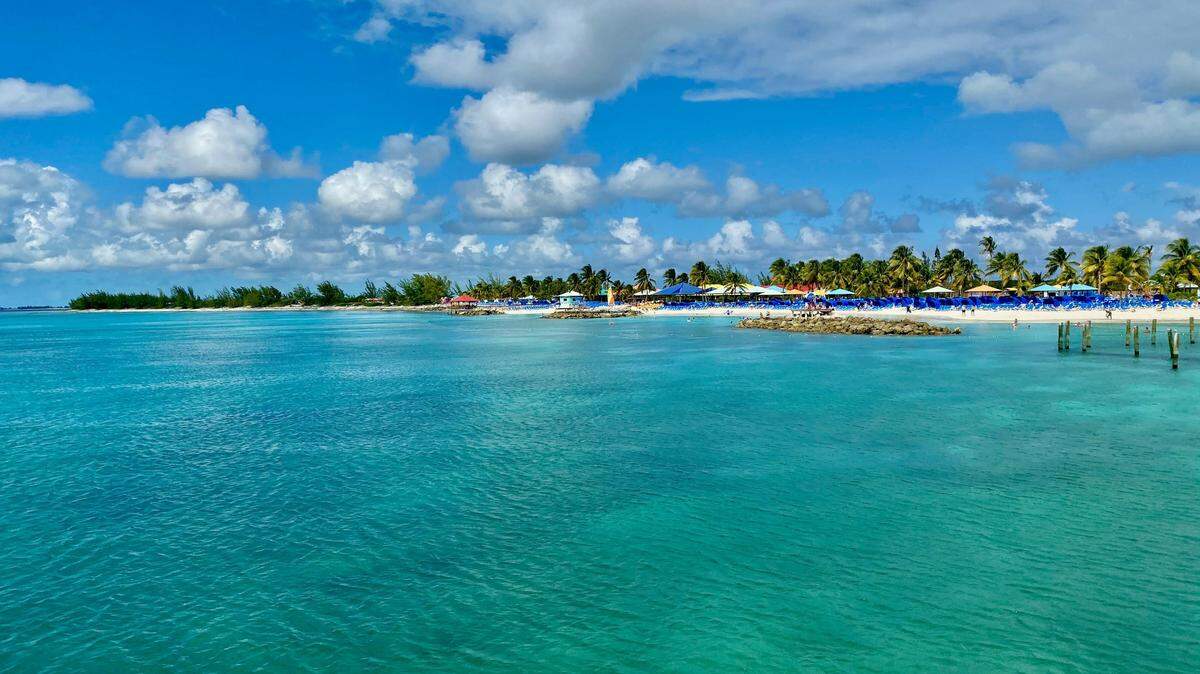 Off the coast of the picturesque Bahama islands, a slimy creature scours the seafloor for the scent of death.