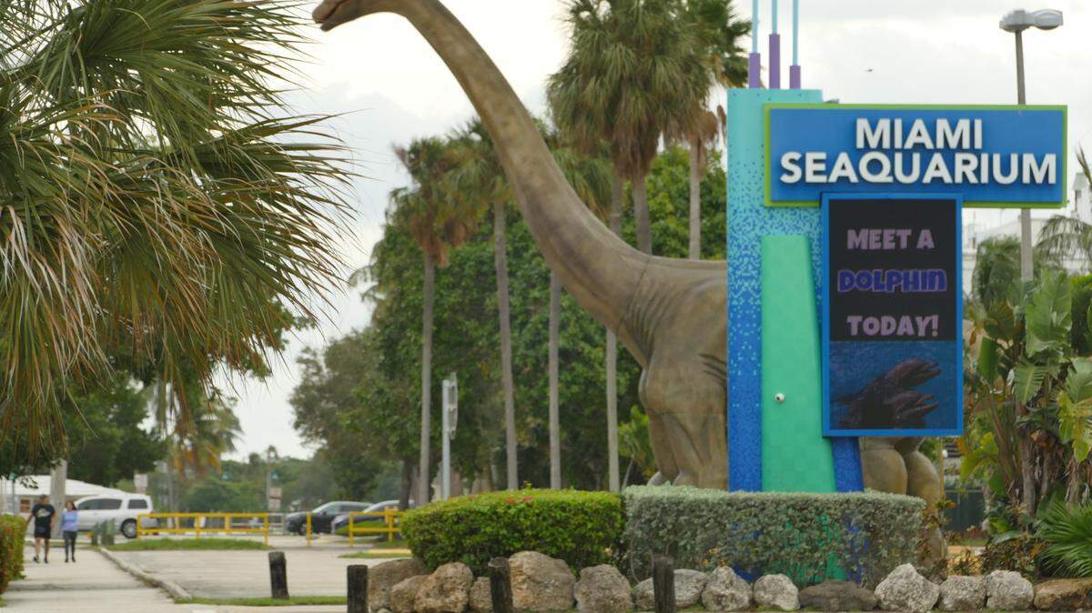 Miami Seaquarium, 4400 Rickenbacker Causeway, on Friday, Dec. 22, 2023.
