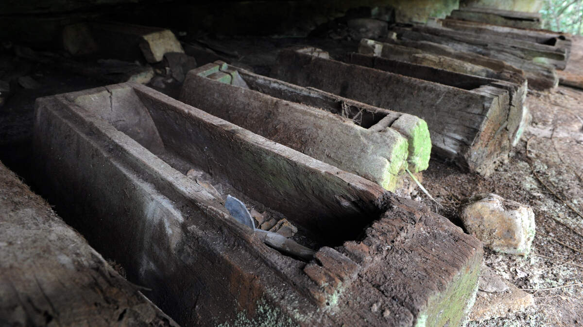wooden log coffin