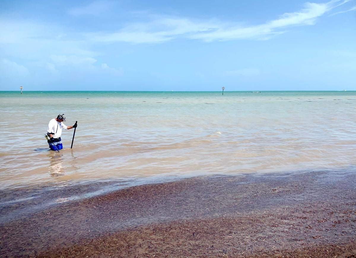 Alex Corpion, of Key West, searches for treasure on Smathers Beach. He recently found a class ring a man lost 30 years ago in the water.