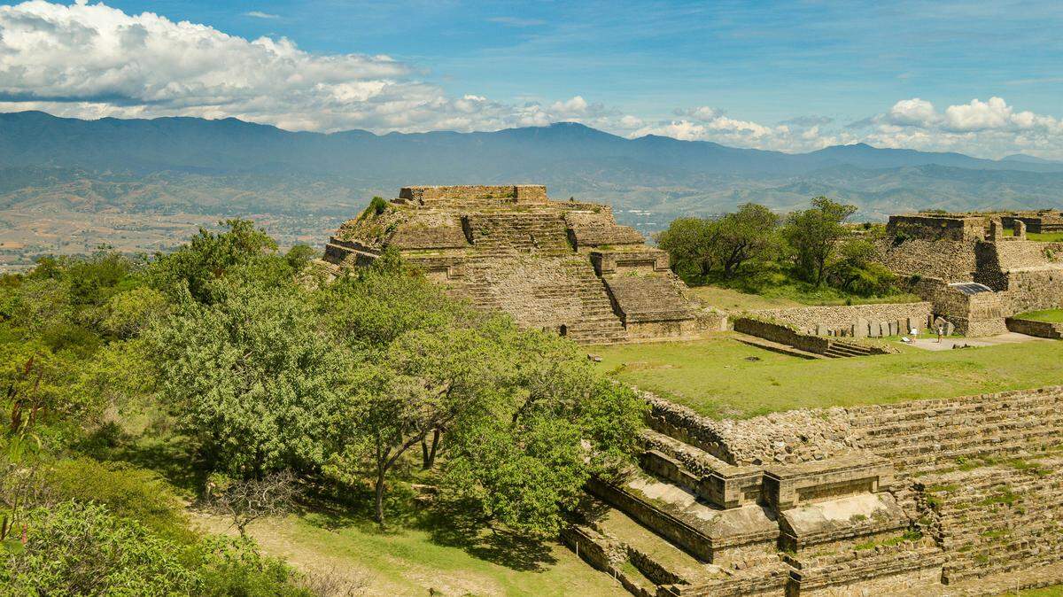 At Monte Albán in Mexico, a species was spotted for the first time.