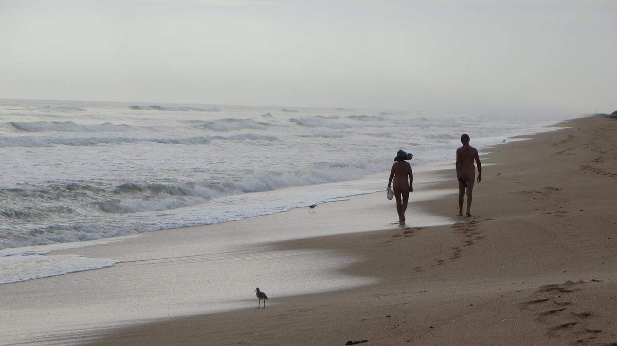 Canaveral National Seashore, a wilderness beach along the Atlantic in Central Florida.
