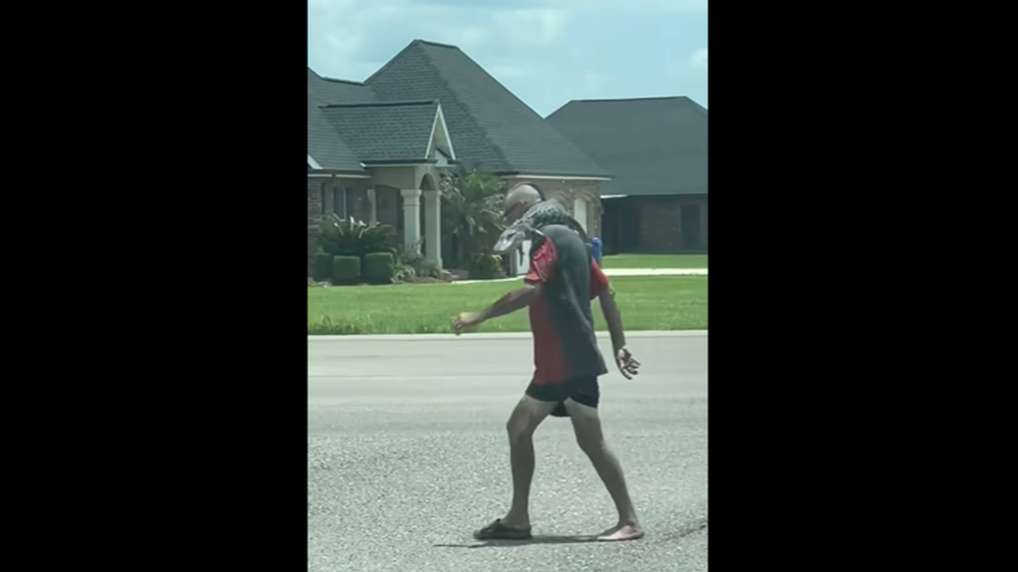 Video shows a man was carrying a live alligator slung over his shoulder as he walked in Thibodaux, Louisiana. He wore only one shoe at the time.