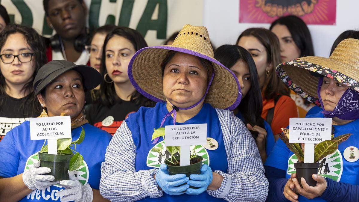 From left to right: Lisette, Silvia and Claudia, all farmworkers, hold plants as they attend the launch of WeCount!'s Planting Justice campaign at its headquarters on Saturday, Feb. 14, 2026, in Homestead, Fla. The campaign urges major retailers and growers to adopt a new Code of Conduct for plant nursery workers in their supply chains and agree to independent monitoring, enforcement, and certification.