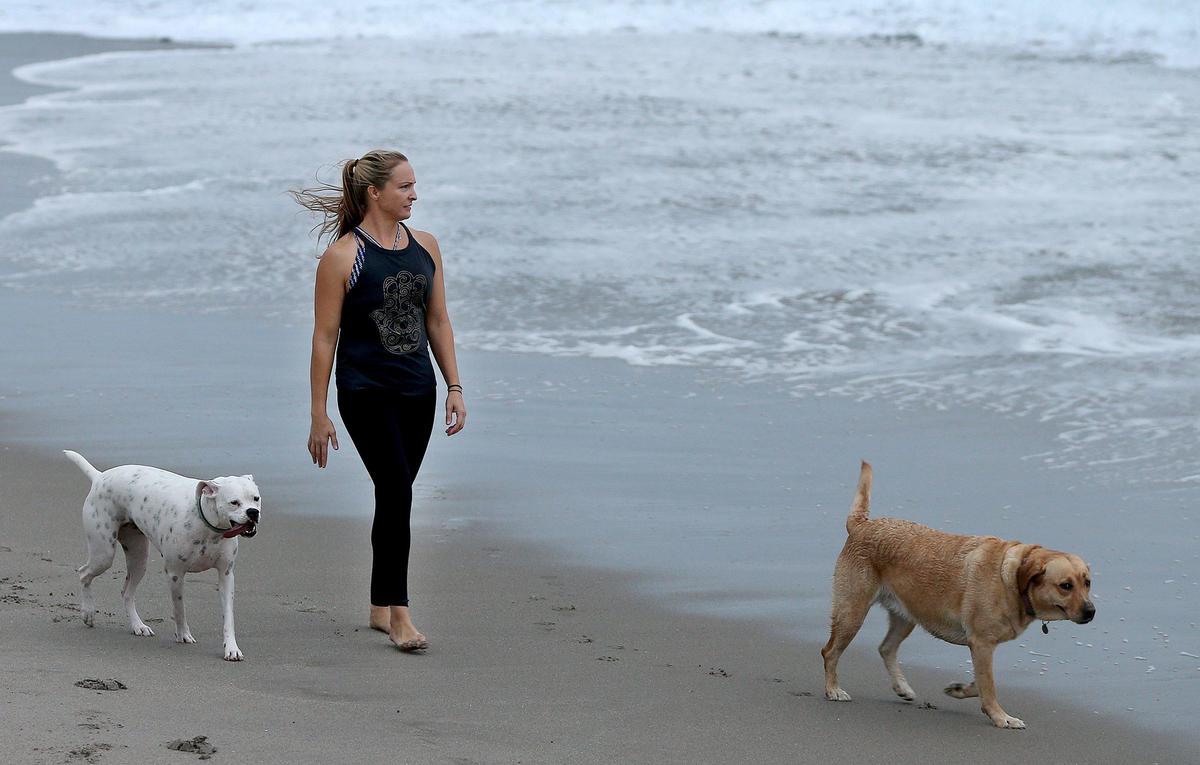 Faulkner strolls the beach in Jupiter with her two rescued dogs, Easton (right) and Idunn.