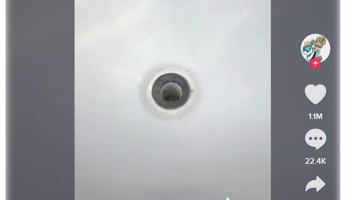 Mysterious creature seen in TikTok video in Florida