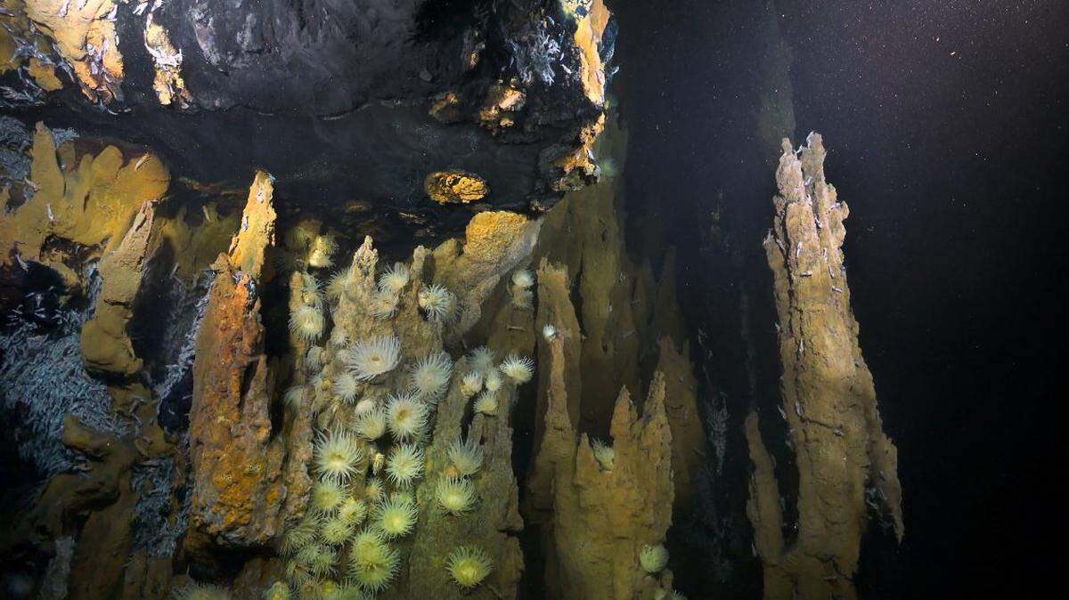 Seawater is chemically altered when it encounters super hot rocks, generating something akin to smoke that billows from chimneys on the seafloor, scientists say.