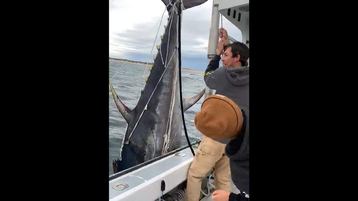 Three teens off the coast of Massachusetts reeled in a 10-foot plus bluefin tuna that weighed over 1,000 pounds.