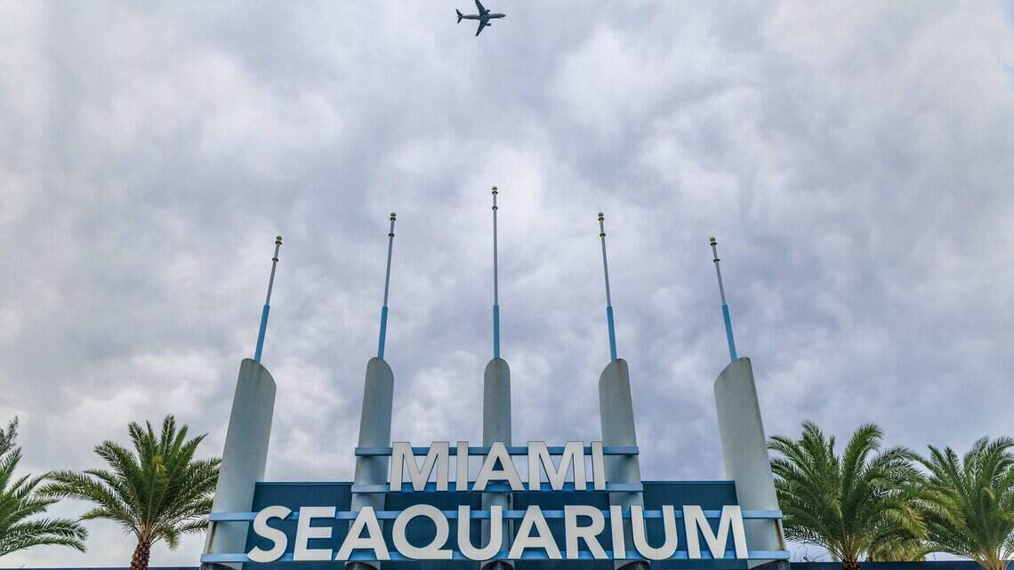 Artist known for smiley-orange graffiti arrested at Miami Seaquarium