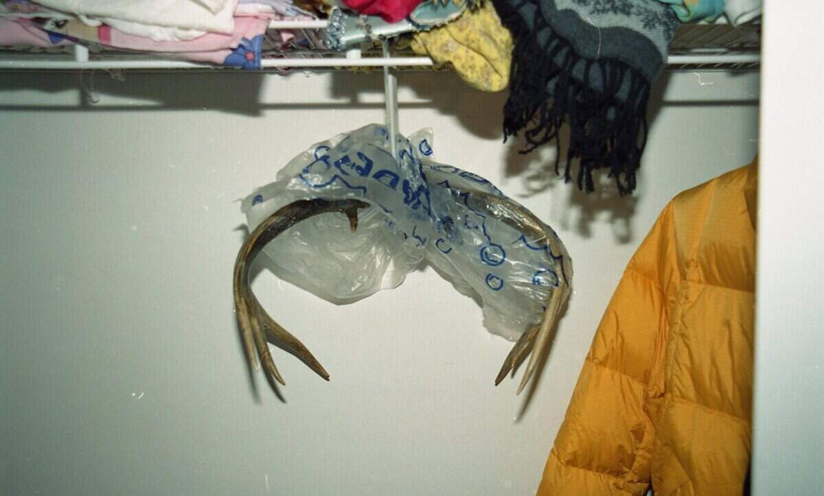Antlers found hanging in a closet above the body of Maritza Quesada in 2003. Her former husband, Hugo Quesada, pleaded guilty and accepted a 40-year prison term this month.