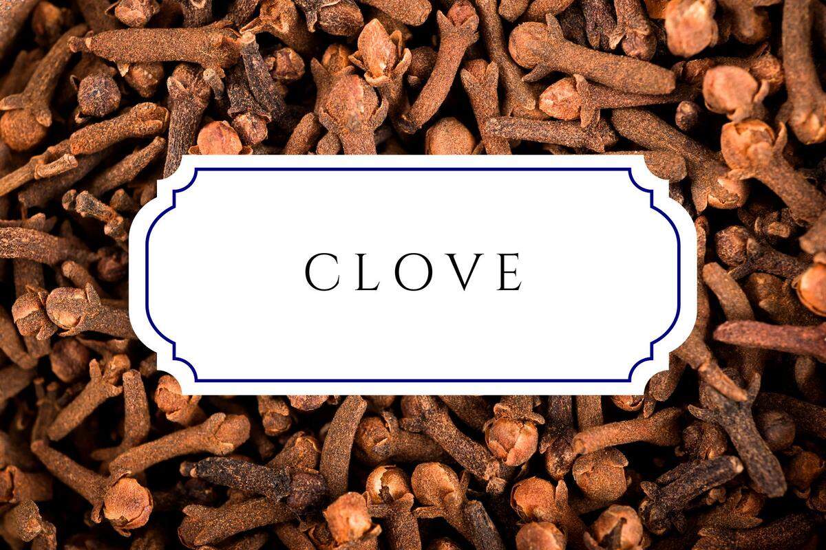 botanical baby names clove