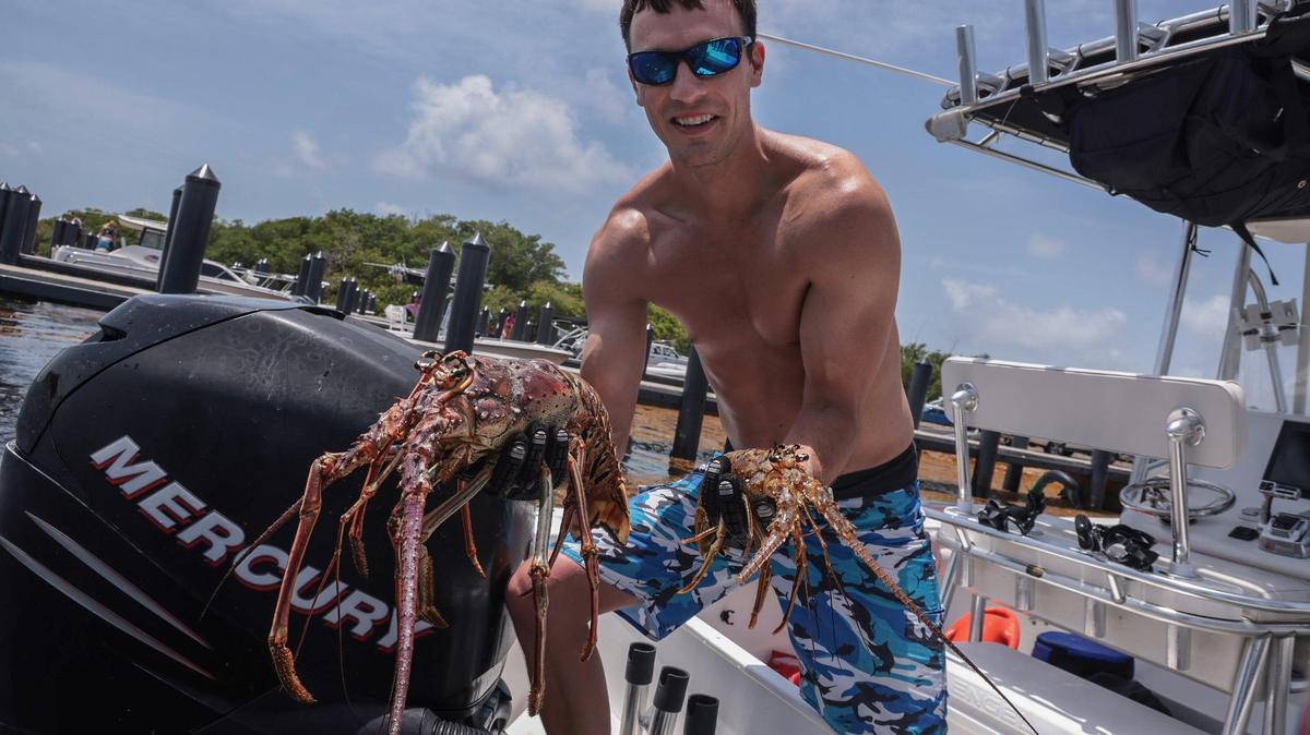 The 48-hour miniseason for Florida’s spiny lobster opened today as South loridians headed out to take advantage of the abbreviated annual event along the Sunshine State’s coastline on Wednesday, July 27, 2022.