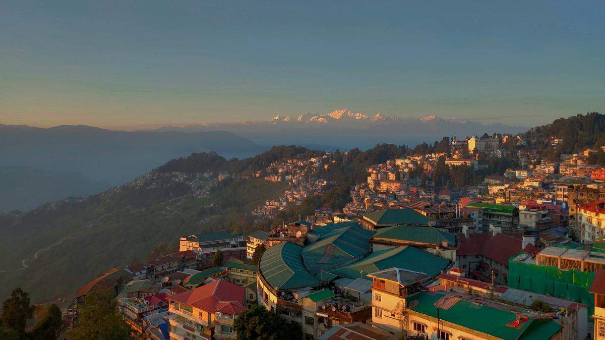 At the base of the Himalayas, a river creature was considered missing for more than eight decades.