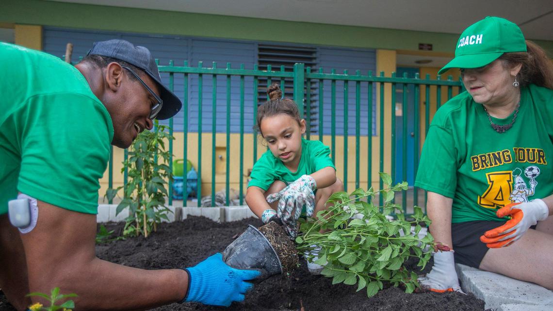 Jesses Vieux, Zoey Ramos and Charles R. Hadley Principal Jordana Schneider work in the garden that sprouted with help from the Sprouts Healthy Community Foundation. Sept. 23, 2023.