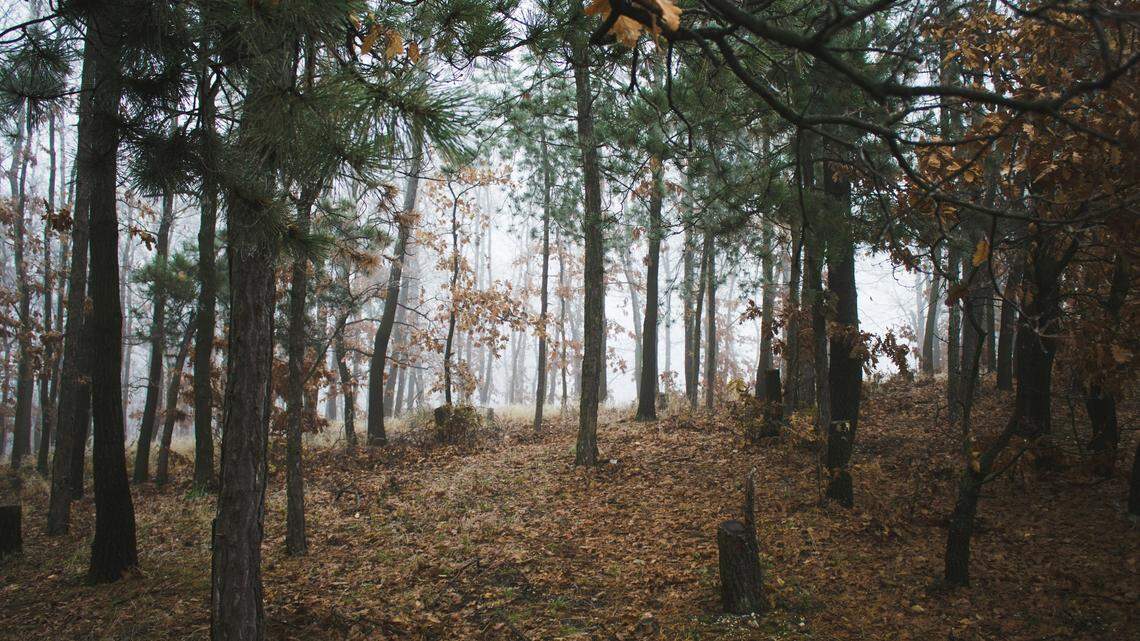 At an archaeological site in west-central Hungary, researchers dug into what they expected to be a grain storage hole.