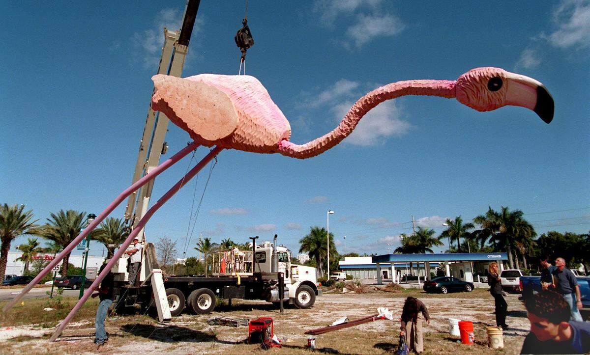 A giant flamingo sculpted by artist Michael Israel, is hoisted by crane at the intersection of Biscayne Boulevard and Aventura Bouleard in 2000 to promote the Aventura Art Fest. Feb. 26 and 27. The flamingo was a preview for an upcoming art project called Flamingoes in Paradise, with the birds places throughout the county.