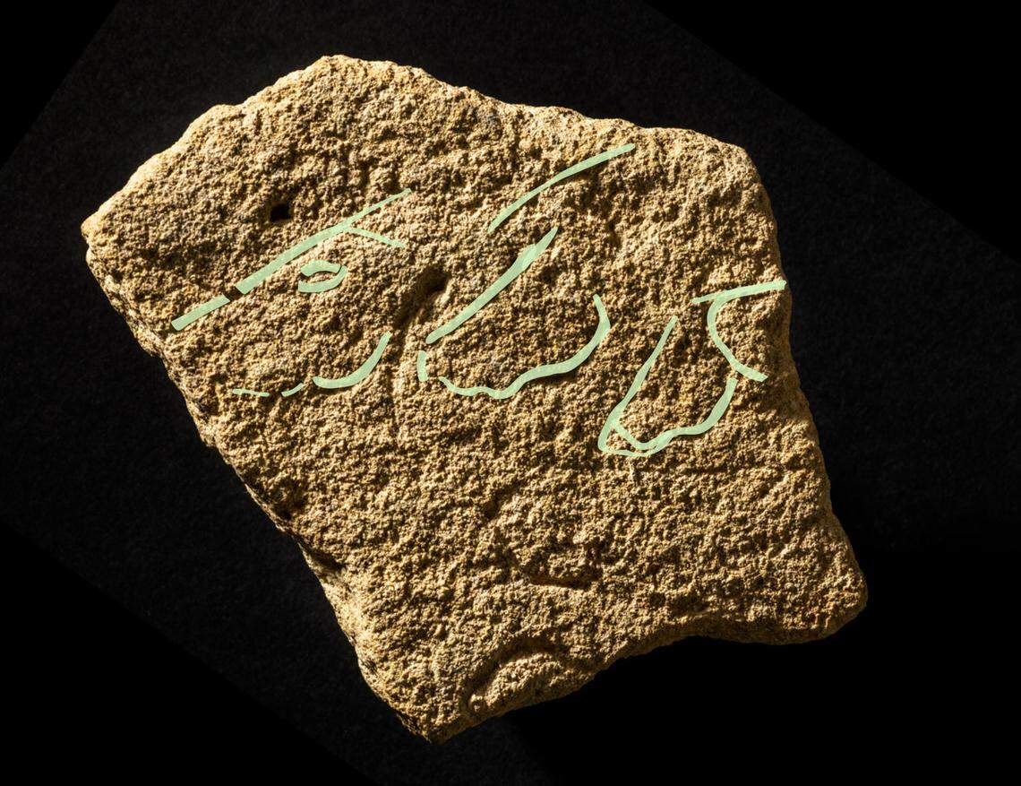 Highlights show the trio of horses.