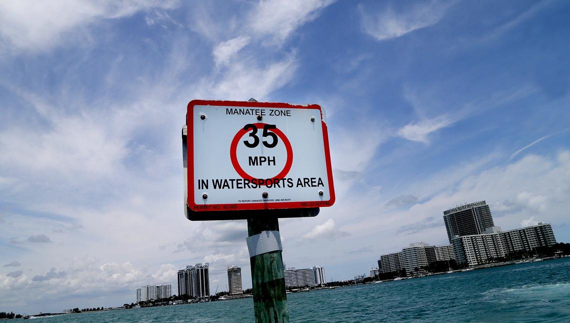 Una señal de límite de velocidad que marca el área de deportes acuáticos alrededor de Monument Island. El alcalde Dan Gelber quiere que el área sea una zona de baja velocidad.