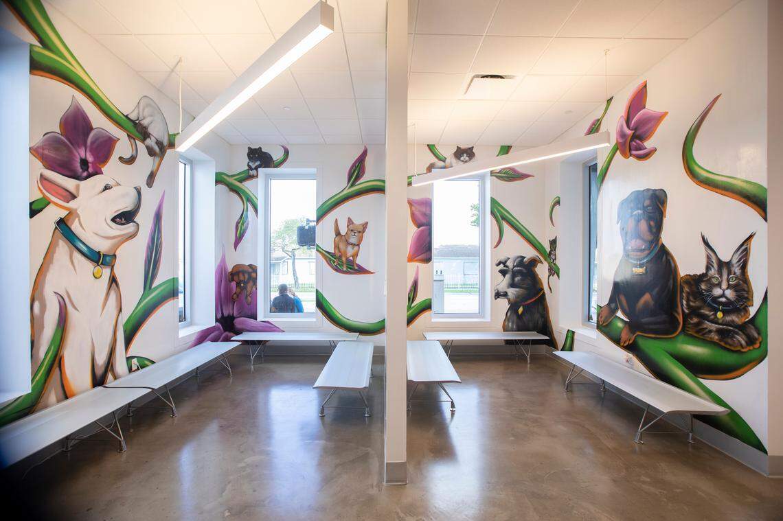 Interior rooms of the new ASPCA Community Veterinary Center during The American Society for the Prevention of Cruelty to Animals opening celebration in Liberty City, on Monday, Oct. 28, 2019.