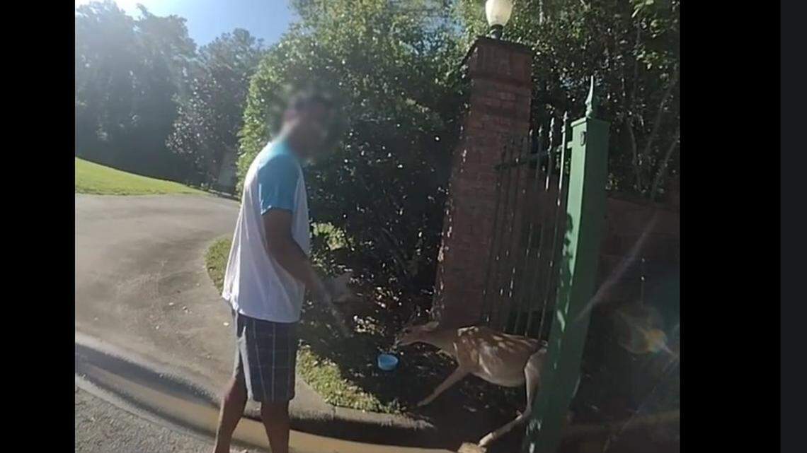 Deer rescue in Alachua County
