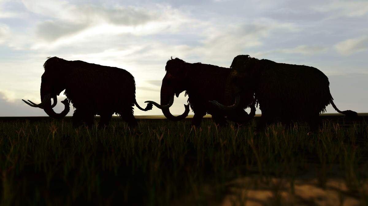 Carved pieces of prehistoric mammoth ivory may be oldest example of their kind, researchers said.