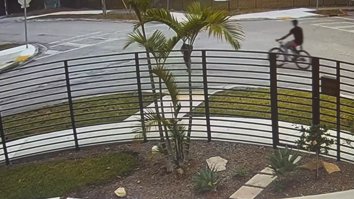 WATCH: Video shows man robbing 74-year-old woman in Coconut Grove. Have you seen him?