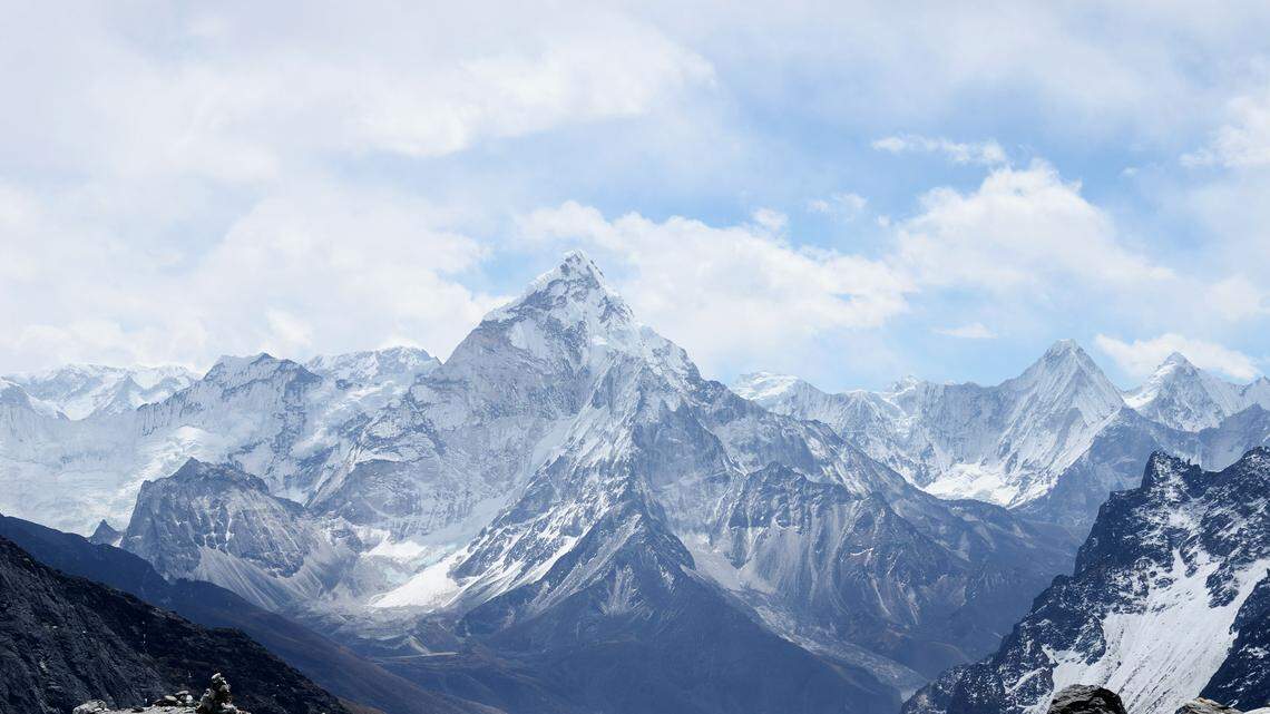 High in the Himalayas, a small, fluffy cat was seen higher than ever before.