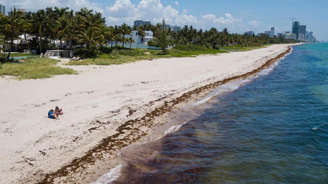 These Miami-Dade beaches have too much poop for swimming, advisory says
