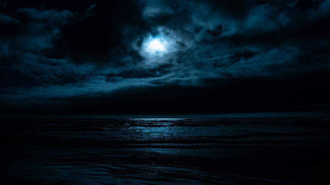 Above an inland sea 100 million years ago, a large flying reptile haunted the skies.