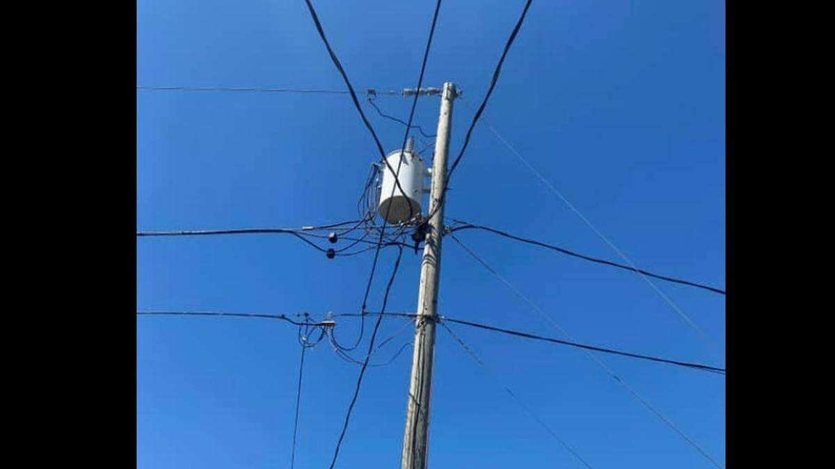 Kitten rescued from a power pole in Fort Myers