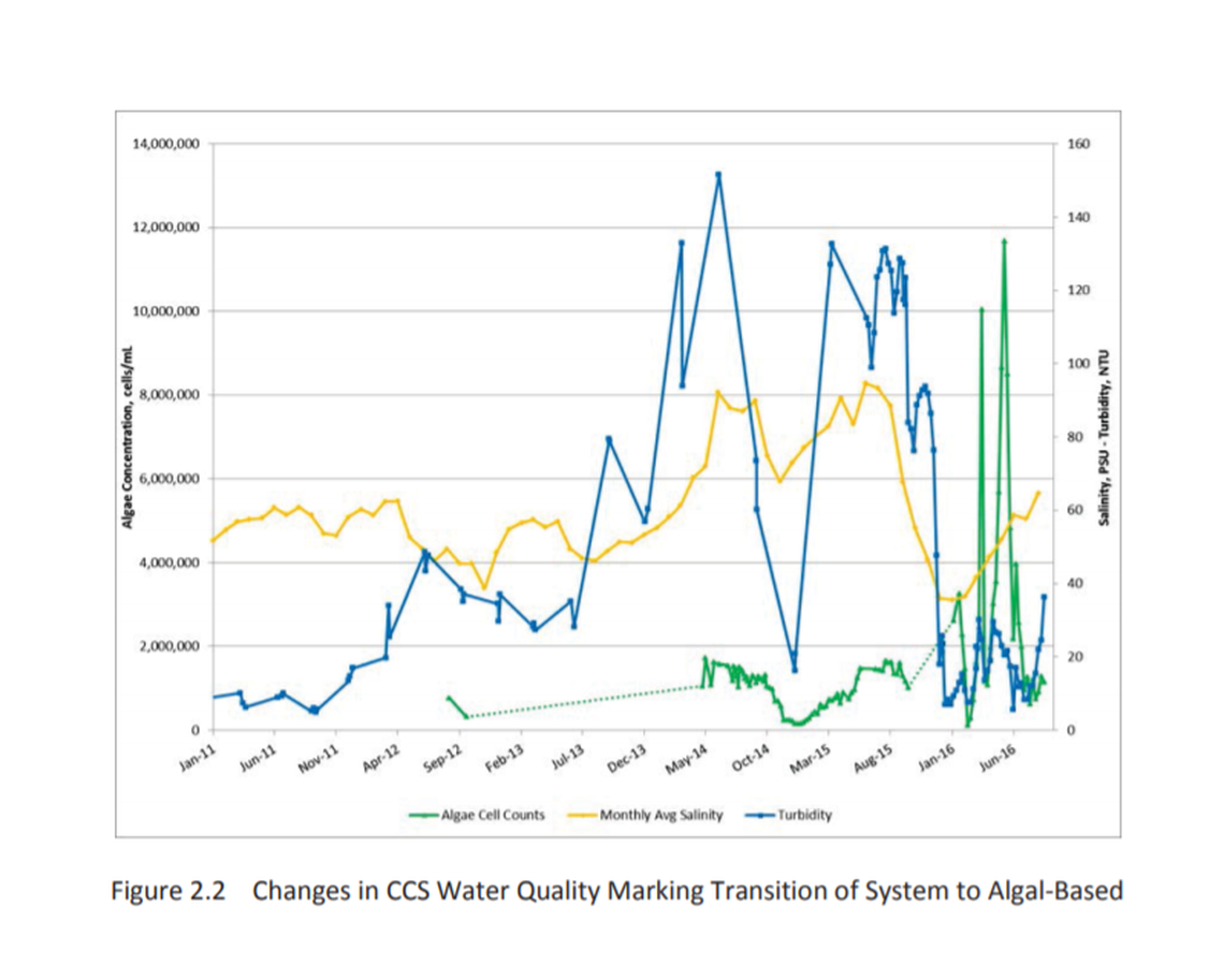 Following the spike in salinity, seagrass in the cooling canals died, which FPL says fueled widespread algae blooms. Source: Florida Power & Light