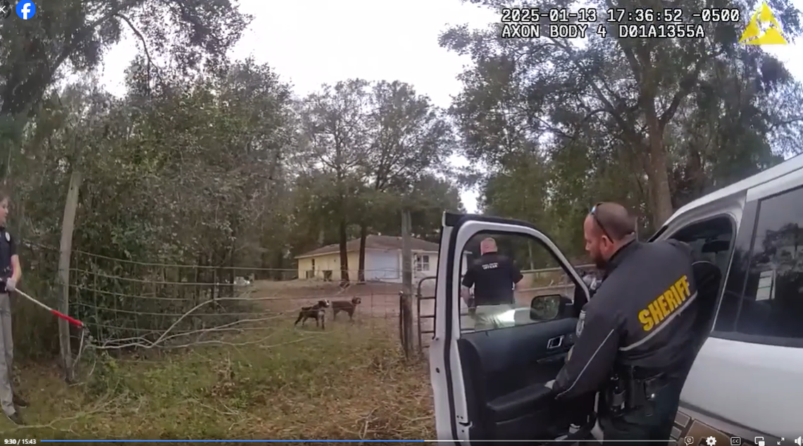 The dogs were captured by deputies and are being held in quarantine for 10 days, officials said.