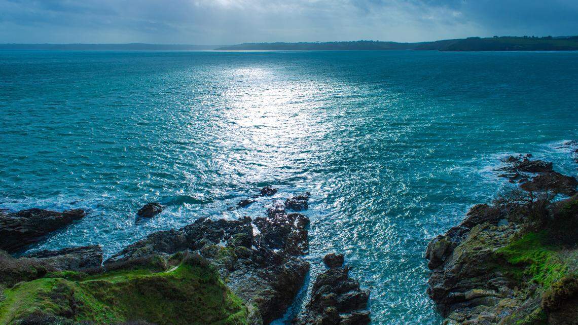 The pod of 12 fin whales was spotted in Falmouth Bay, according to a Facebook post.