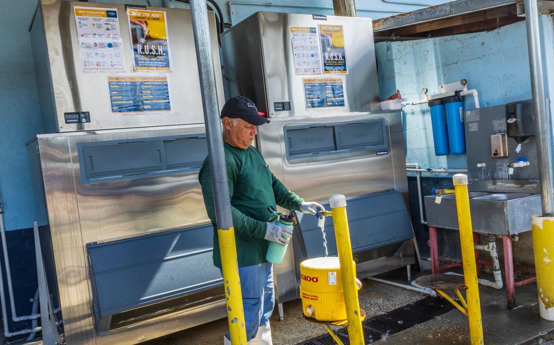 Maintenance worker, Pablo Zuñiga, fills a water cooler before heading to the field at Costa Farms in Homestead, on Friday, June 28, 2024.