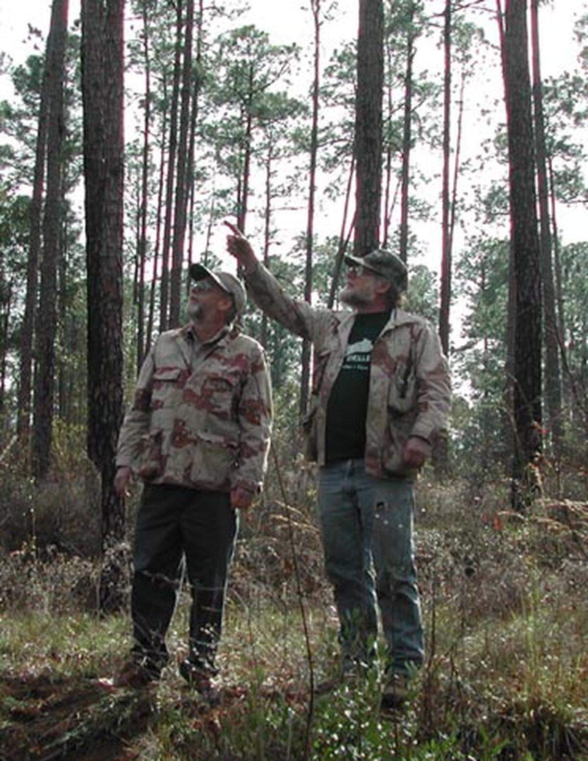 Bill and John Wilkerson walk through the woods at the Glendale Memorial Nature Preserve, which was once their family farm.
