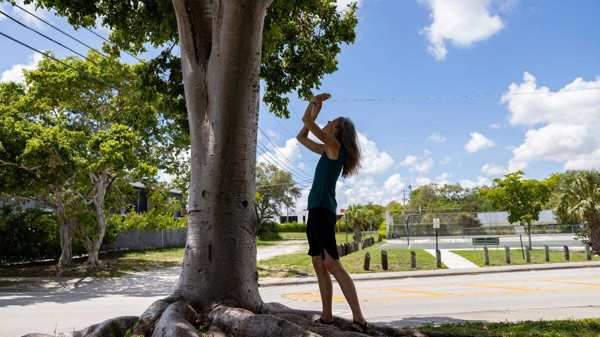 Miami-Dade is even hotter than your weather app says it is, new study finds