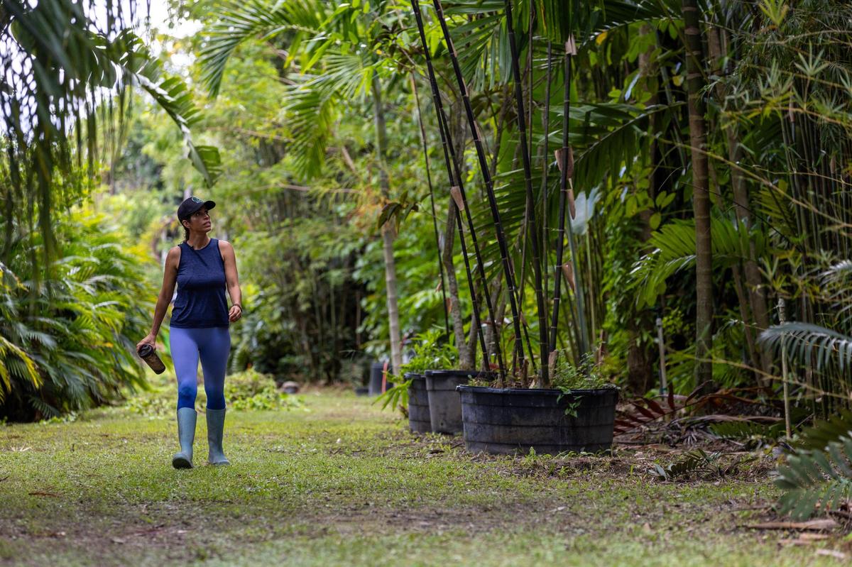 Lanette Sobel walks along a path she calls her “jungle” at Fertile Earth Worm Farm in Homestead.