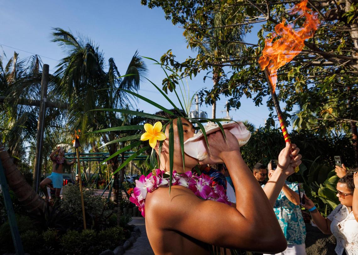 The Mai-Kai dancers enter for the offering ceremony during the reopening of Mai-Kai on Thursday, Nov. 21, 2024, at the restaurant in Fort Lauderdale. The restaurant employs a cultural arts and entertainment director to keep the entertainment in line with the Hawaiian and Tahitian culture.