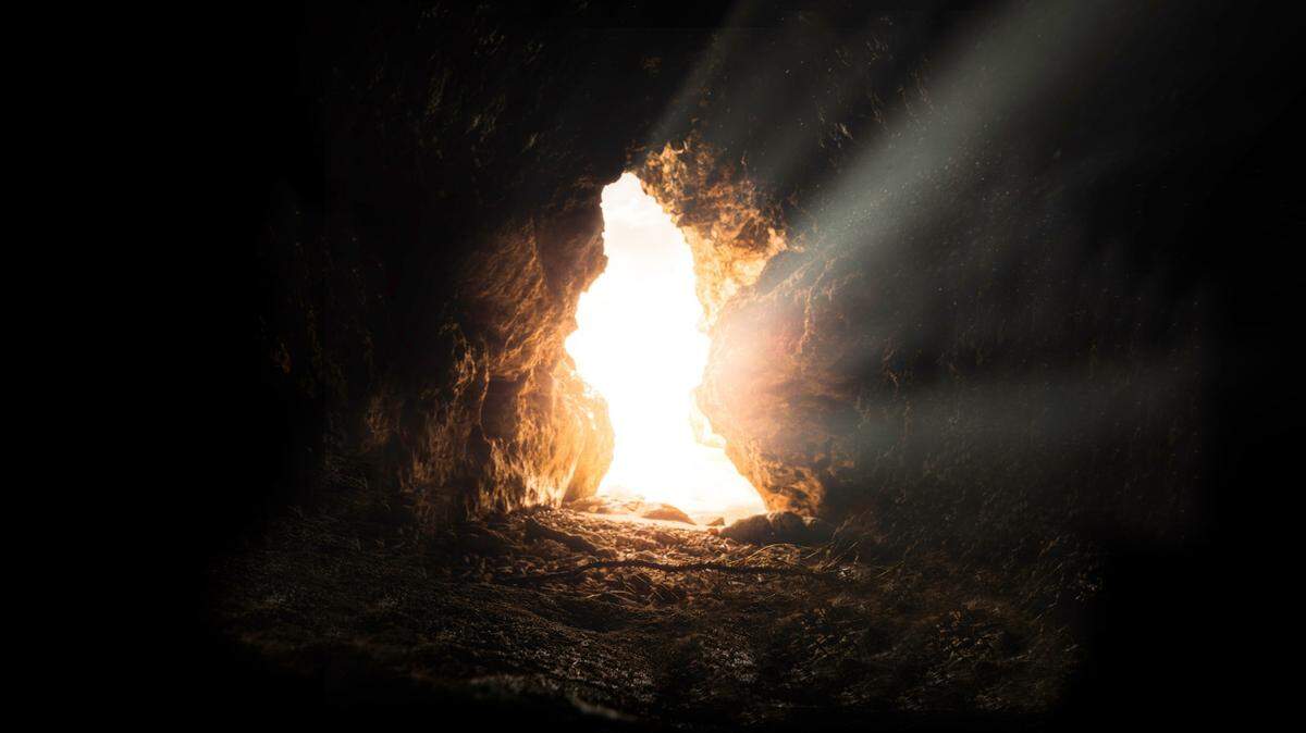 In a cave in China (not pictured), a small pool of water held a new species in the dark.