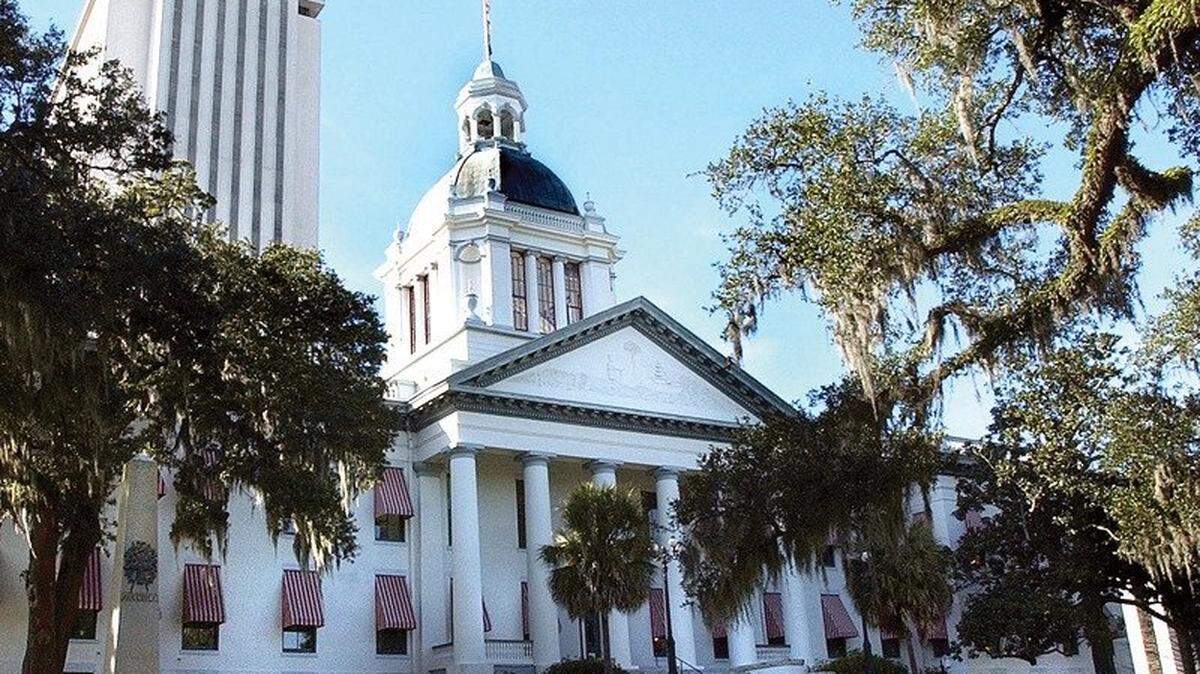 The next session of the Florida Legislature will see many new faces, replacing lawmakers who were term-limited or running for the state Senate.