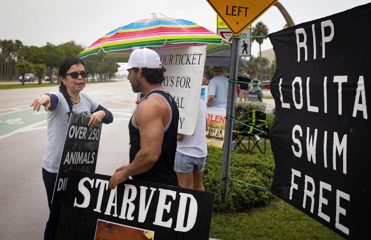 Hilda Cummings, left, tells Gerardo Russo, visiting from New York for the protest, that Miami Seaquarium told them to take down the signs posted on their land during a gathering two days after Lolita’s death outside the Miami Seaquarium on Sunday, Aug. 20, 2023, on Rickenbacker Causeway before Key Biscayne. Protestors were hoping to turn people away from visiting the Seaquarium.