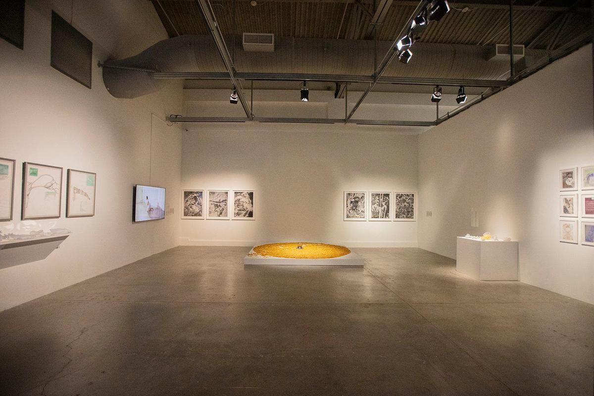 A view of artist Smita Sen’s work at MOCA in North Miami on Friday, Dec. 6, 2024.