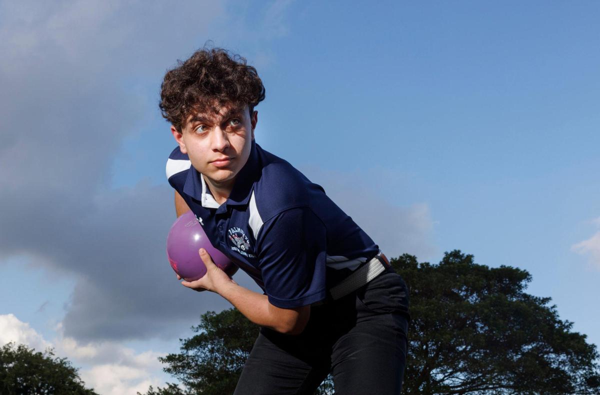Evan Viener, Palmetto