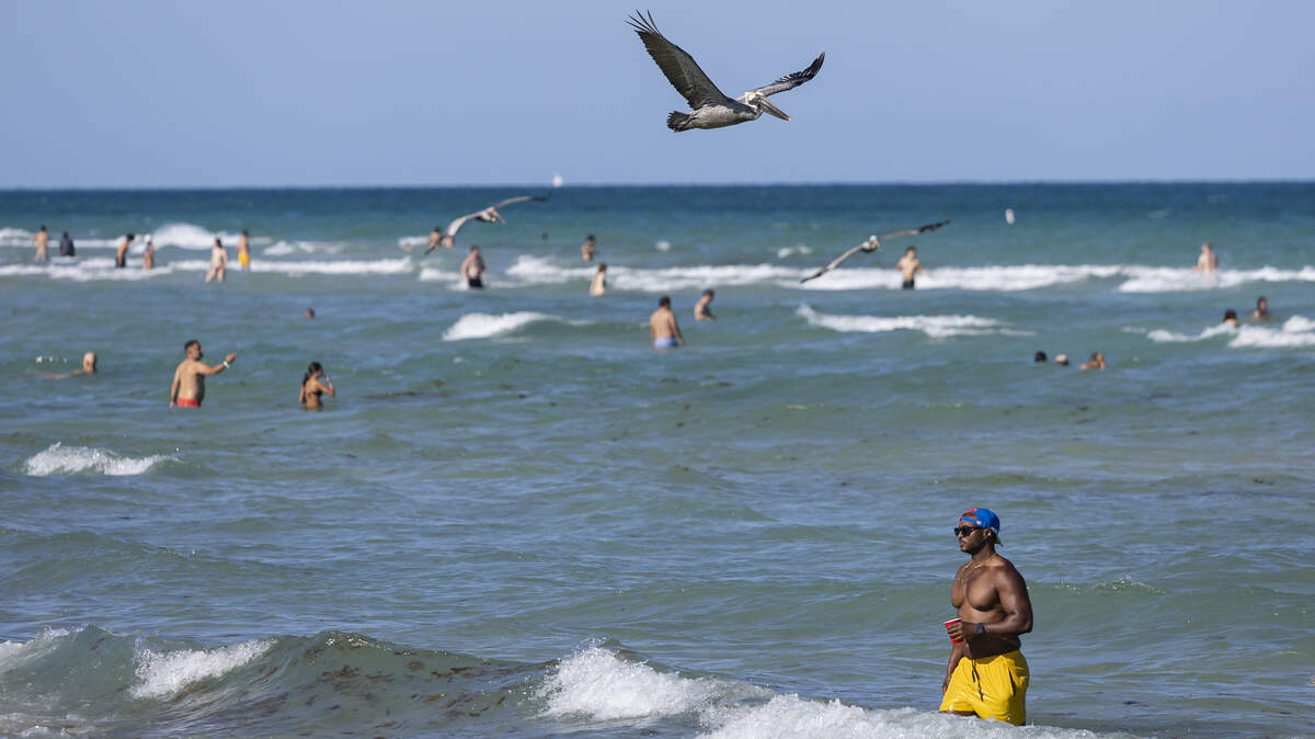 People enjoy the waves at the beach.