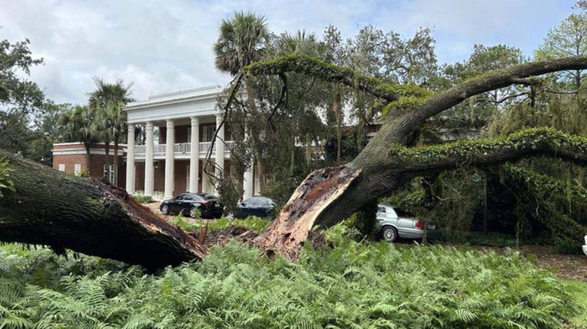 A large oak tree split and came down on the grounds of the Governor’s Mansion in Tallahassee during Hurricane Idalia on Wednesday, Aug. 30, 2023.